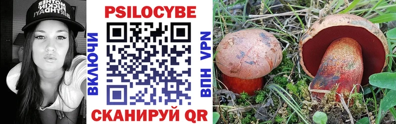 Купить где  Чебоксары  Псилоцибиновые грибы Magic Shrooms 